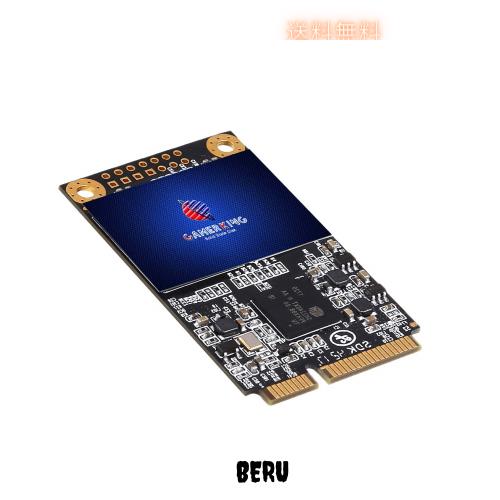 Gamerking SSD Msata 500GB SATA III 内蔵型 Solid State Driveノート/パソコン/適用 ソリッドステートドライブ (500GB, Msata)