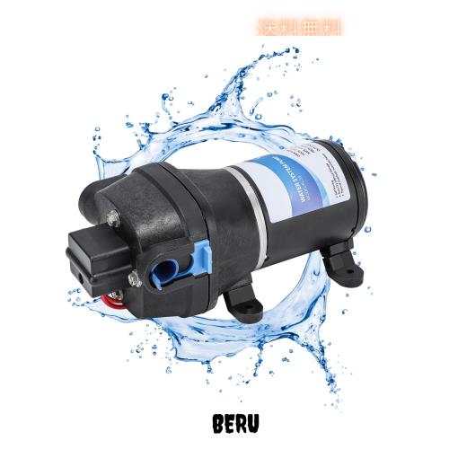 NEWTRY ダイヤフラム水ポンプ 給水 排水ポンプ 圧力スイッチ 自吸式ポンプ 小型 12.5L/min 最大揚程25ｍ キャンピングカー シャワー、蛇
