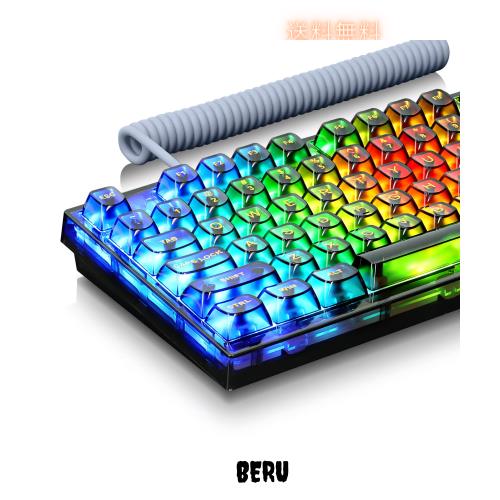 MAMBASNAKE X75 有線メカニカルキーボード ホットスワップメ 黒侍 スペースバー バックライト付き 樹脂キーキャップ 透明なデザイン チェ