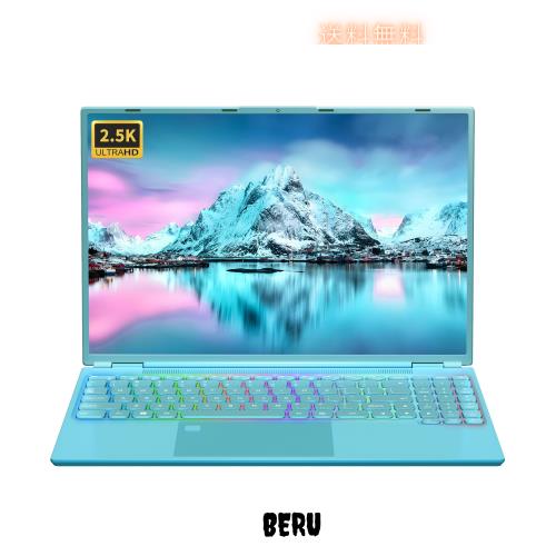 ノートパソコン NEC PC-VKT16XZG5 Core i5 8265U 1.6GHz/8GB/256GB(SSD