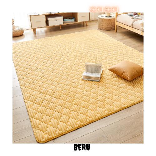 CHOSHOME カーペット ラグ 極厚25mm ラグマット 2畳 絨毯 厚手 ラグ 滑り止め 防音 ふわっと手触り 撥水加工 北欧 洗える フランネルラグの通販は