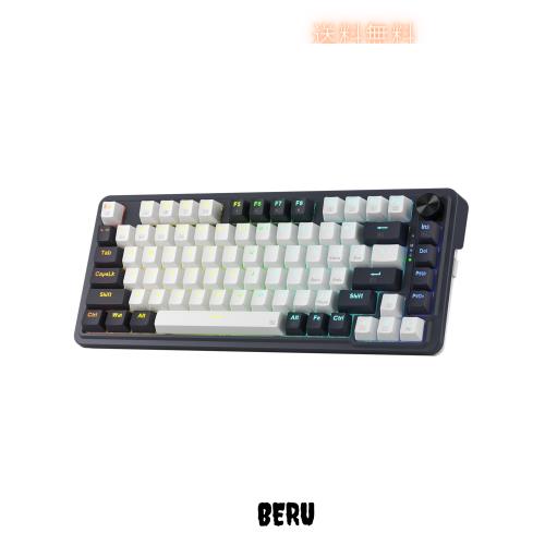 Redragon K673 PRO 75%ワイヤレスガスケットRGBゲーミングキーボード｜3モード｜81キー｜コンパクト｜メカニカルキーボード｜ホットスワ