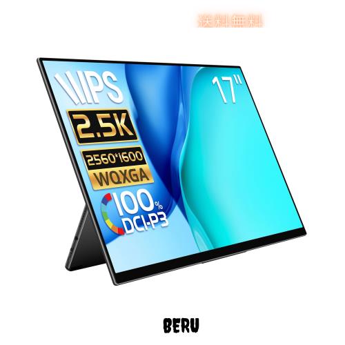 モバイルモニター EHOMEWEI 2.5K 17インチ WQXGA 2560x1600 100% DCI-P3 薄型 5mm ゲーミング モニター スピーカー内蔵 ブルーライトカッ
