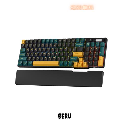 RK ROYAL KLUDGE RK96 RGB 限定版、90% 96 キーワイヤレス 3 モード BT5.0/2.4G/USB-C ホットスワップ可能メカニカルキーボード、リスト