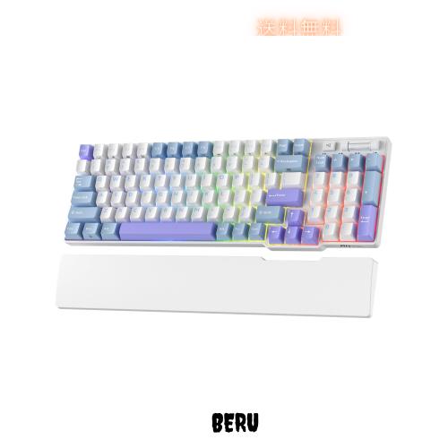 RK ROYAL KLUDGE RK96 RGB 限定版、90% 96 キーワイヤレス 3 モード BT5.0/2.4G/USB-C ホットスワップ可能メカニカルキーボード、リストの通販は