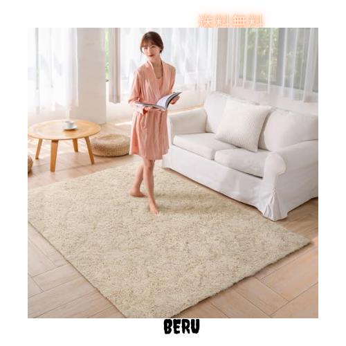 Beddiny カーペット ラグ 夏用【中層:30D高密度ウレタン 厚さ約1.2cm 独自技術とデザインの抗菌防臭加工】 ラグマット シャギーラグ 絨毯