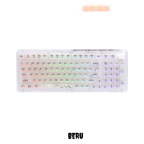 OUSEITECH X EWEADN V99 ゲーミングキーボード メカニカル 透明キーボード 透明キーキャップ 99キー ワイヤレス ホットスワップ対応 RGB