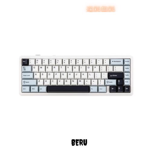 【2024新登場】EPOMAKER x AULA F65 65%ワイヤレスメカニカルキーボード ホットスワップ対応ガスケットカスタムゲーミングキーボード 5層の通販は 9,495円