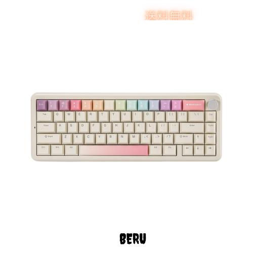 YUNZII B68 65％ ワイヤレスメカニカルキーボード ゲーミングキーボード BT5.0/2.4GHz/有線 ホットスワップ対応 ガスケットキーボード RG