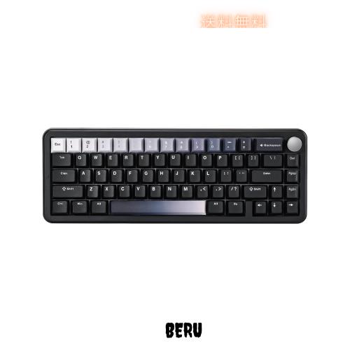 YUNZII B68 65％ ワイヤレスメカニカルキーボード ゲーミングキーボード BT5.0/2.4GHz/有線 ホットスワップ対応 ガスケットキーボード RG