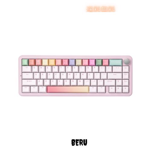 YUNZII B68 65％ ワイヤレスメカニカルキーボード ゲーミングキーボード BT5.0/2.4GHz/有線 ホットスワップ対応 ガスケットキーボード RG