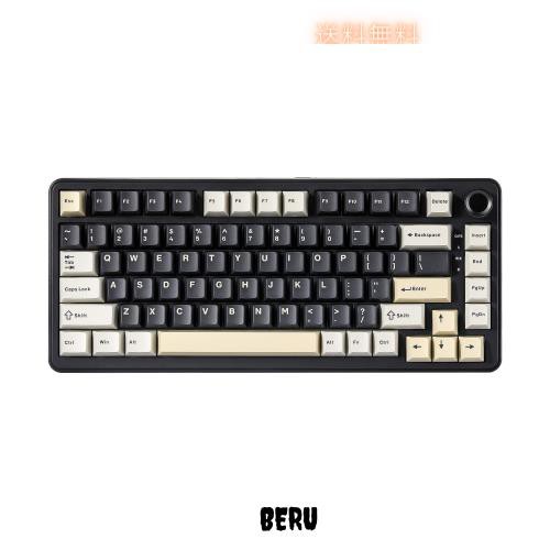 YUNZII B75 75% 有線 メカニカルキーボード ホットスワップ対応 ガスケット搭載 RGBバックライト 高耐久 英語配列 PBTキーキャップ チェの通販は