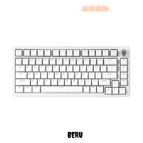 YUNZII B75 75% 有線 メカニカルキーボード ホットスワップ対応