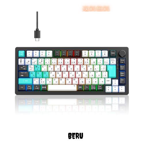 ゲーミングキーボード【2025年業界オリジナル開発・日本語配列とカナ印字一体】75% ガスケット メカニカルキーボード 有線 着脱式 カスタ