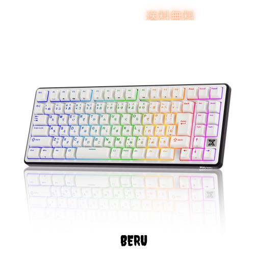 【Amazon.co.jp限定】RK ROYAL KLUDGE X87 ゲーミングキーボード 日本語配列 半透明PBTキーキャップ メカニカルキーボード 有線 75%コン