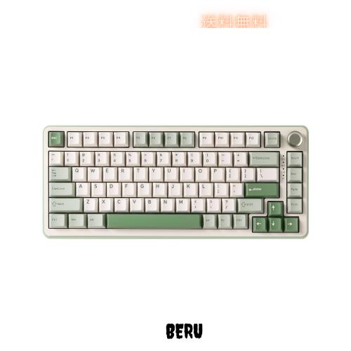 YUNZII B75 PRO 75% ガスケットゲーミングキーボード 無線メカニカルキーボード BT/2.4G/有線 ワイヤレス ホットスワップ 搭載 RGB ノブ