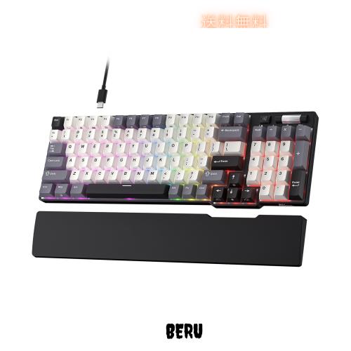 RK ROYAL KLUDGE C96 HE メカニカルゲーミングキーボード、ホール効果磁気スイッチ、ホットスワップ対応 90% 有線 RGB キーボード（リス 7,403円