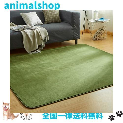 VK Living カーペット ラグ ラグマット 絨毯 200×300cm(約4.5畳) 滑り止め 洗える 防ダニ 抗菌 防臭 オールシーズン 床暖房 ホットカー