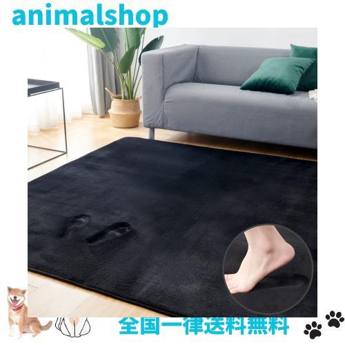 Keusnix カーペット ラグ 低反発 極厚25mm 滑り止め付 厚手 ラグマット 防音 じゅうたん フランネル 抗菌・防ダニ加工 オールシーズン 絨の通販は