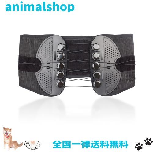 整体院長監修】REPETRI TECH 腰サポーター 腰用 コルセット