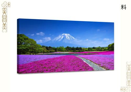 アートパネル 富士山 桜 絵画 赤富士 白雲 桜の絵 山の絵 自然 玄関 風水 開運 額入り お風呂ポスター 部屋飾り 新築飾り 壁掛け絵 木枠の通販は 6,235円