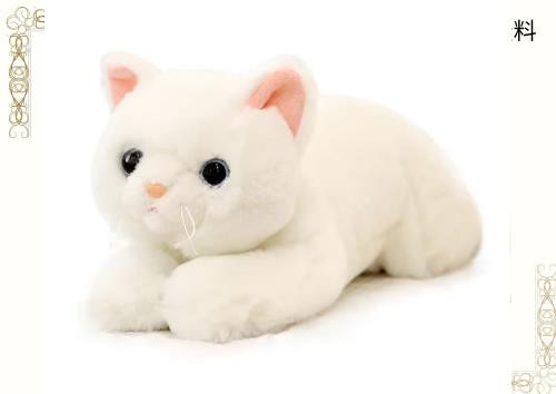 ネコ ぬいぐるみ リアル 白猫 かわいい 50cm ふわふわ もちもち クッション 背当たれ 抱き枕 添い寝 生々しい 横向き寝 お揃い ソファーの通販は