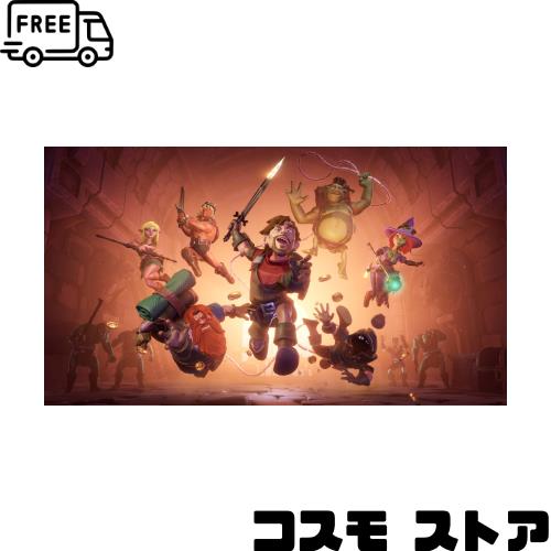 Dungeon Of Naheulbeuk: The Amulet Of Chaos (輸入版:北米) ？ Switch 7,351円