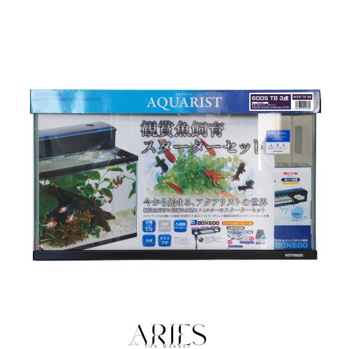 寿工芸 600S TB3点