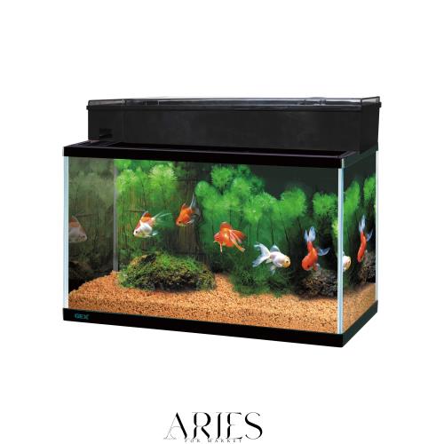 ジェックス GEX AQUARIUM ガラス マリーナ600BKS デュアルクリーンセット サカナ用