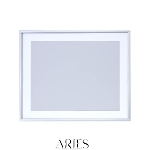 FUJICOLOR アルミ額縁 A32 全紙 シルバー 306679