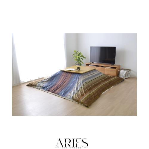 イケヒコ こたつ掛けふとん 上掛け 大判長方形 ラディ 約210 イケヒコ