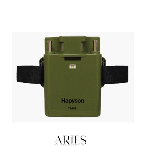 ARS10】メタグロス デルタ種