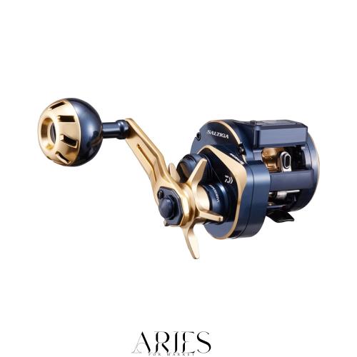 ダイワ(DAIWA) 21 ソルティガIC 100