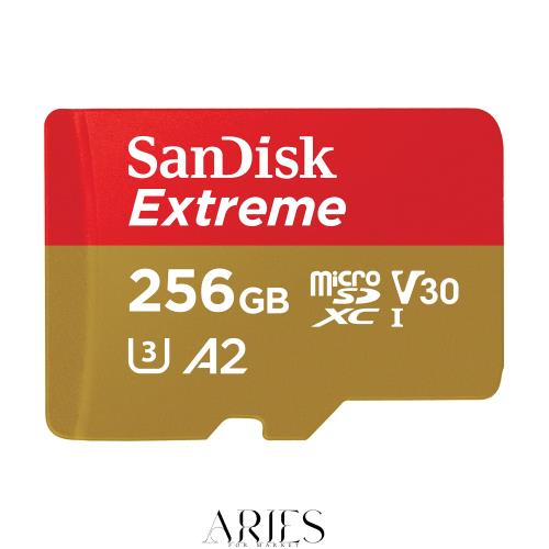 Micro SD Card, 256 GB, SanDisk, UHS-3, Class 10, Nintendo Switch Recommended, SDSQXAV-256G-GN6MN SD Converter, No SD Adapter, In