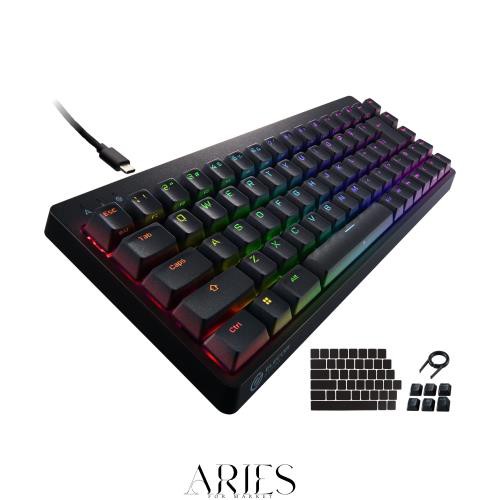 エレコム ゲーミングキーボード V-custom VK300T 有線 RGB テンキーレス 65%サイズ メカニカル ネオクラッチキーキャップ 茶軸 タクタイの通販は