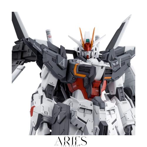BANDAI SPIRITS ＭＧ 1/100 ガンダムエクスインパルス マルチカラー