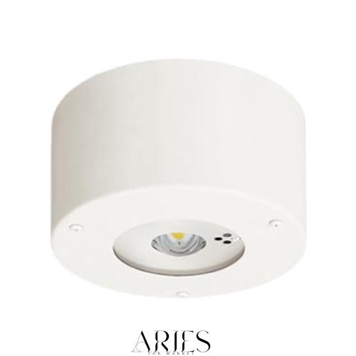 パナソニック(Panasonic) 天井直付型 LED 昼白色 非常用照明器具 30分間タイプ LED 低天井用 〜3m 防湿型 防雨型 自己点検スイッチ付 リ 24,672円