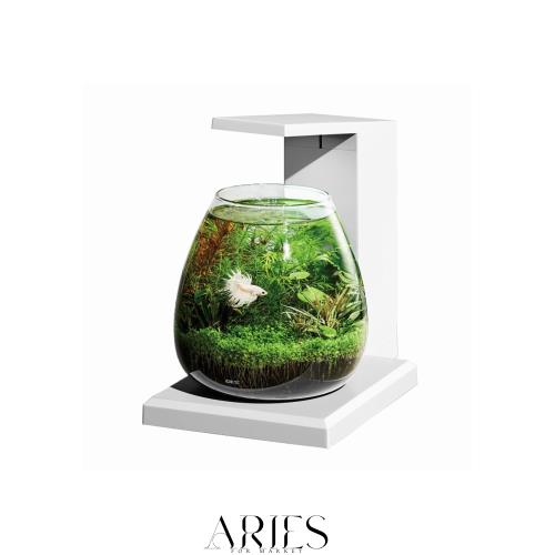 GEX AQUARIUM グラスアクア PERCO T-WH オールインワン水槽 インテリア 水槽セット 水換え簡単 コンパクト水槽 約6L ホワイト