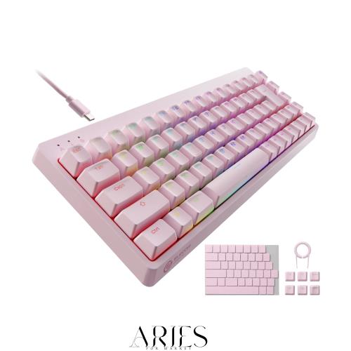 エレコム ゲーミングキーボード V-custom VK300S 有線 RGB テンキーレス 65%サイズ メカニカル ネオクラッチキーキャップ 銀軸 スピード