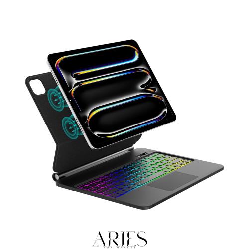 【2025年最新型】マジックキーボード iPad Pro 13インチ 2024 (M4) iPad Pro 13 キーボードケース マルチタッチジェスチャー対応 バック