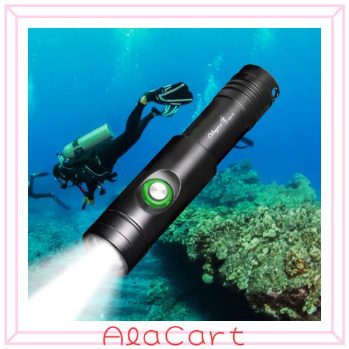 Odepro WD12 IPX8 Max 1050ルーメン ダイビングライト 水中ライト プロ仕様超高輝度 水中懐中電灯 IP68防水 水中100メートル使用可能