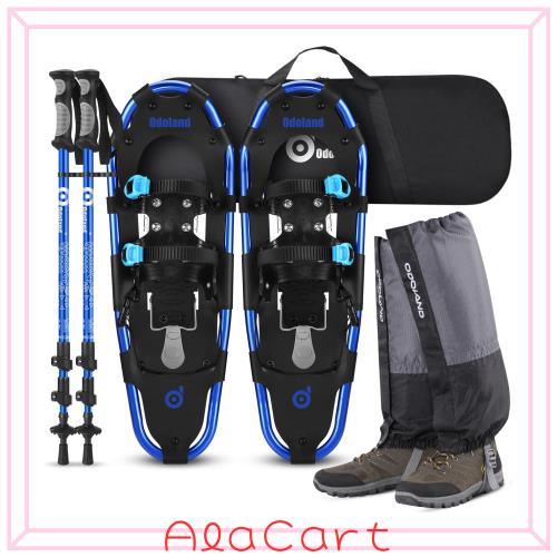 PSA10 黒雪姫 ヴァイスシュヴァルツ 電撃文庫 トーナメント SP