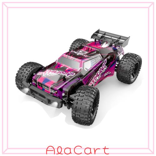 DEERC ラジコンカー オフロード 大人向け こども向け 4WD 1/10 45km/h ブラシレスモーター 大型 操作時間40分 四輪駆動 子供 高速 バッテ