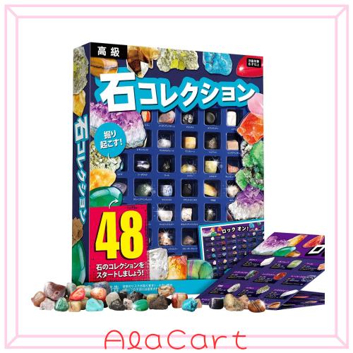 ジェムストーンの標本 XXTOYS 鉱石標本48種 天然鉱石 宝石おもちゃ 岩石標本 クリスマス