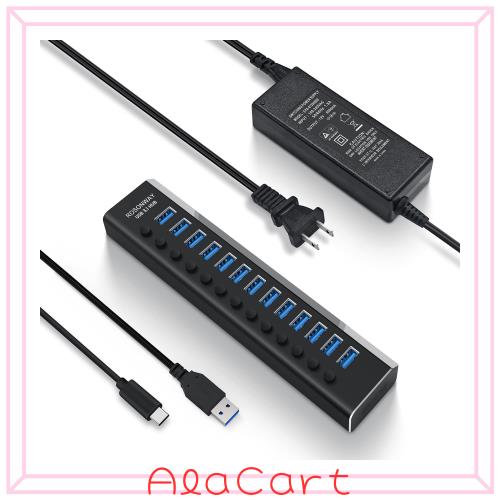 ROSONWAY USB ハブ 3.1 Gen2 10Gbps 13ポートアルミ製 72W USB HUB セルフパワー USBケーブルとType Cケーブル 付き 12V/6A ACアダプタ