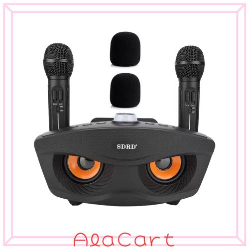 AUX カラオケマイク 家庭用カラオケシステム ワイヤレスマイク マイク2本 有線および無線接続 ブラック