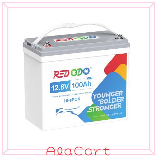 Redodo 12V100Ah Mini リン酸鉄リチウムイオンバッテリー 1280Wh 小型軽量 高エネルギー密度 100A BMS搭載 サブバッテリー 車中泊 キャン