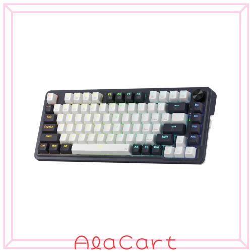 Redragon K673 PRO 75%ワイヤレスガスケットRGBゲーミングキーボード｜3モード｜81キー｜コンパクト｜メカニカルキーボード｜ホットスワ