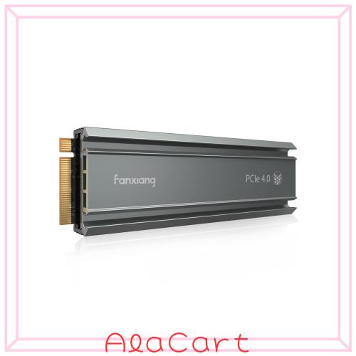 fanxiang S660 2TB M.2 SSD PCIe Gen4 NVMe PS5対応 グレー