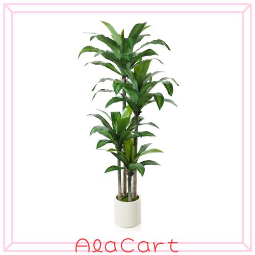 MOSADE 竜血樹 プレミアム 光触媒 フェイクグリーン ※鉢は取り外し不可 人工 観葉植物 観葉樹 フェイク 造花 室内 大型 簡単保？ 水やりの通販は